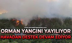 Orman yangını yayılıyor: 7 helikopterle havadan destek