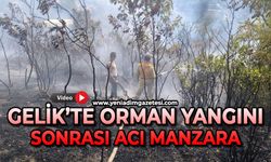 Gelik'te orman yangını sonra acı manzara