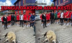 Zonguldakspor adak kesti