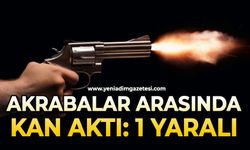 Akrabalar arasında silahlı kavga: 1 yaralı