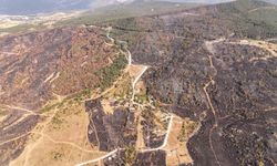 Bir ayda iki kez yangının arasında kalan köy dronla görüntülendi