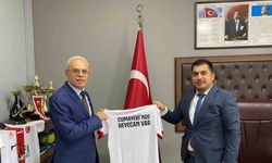 Cumayeri stadında detaylı inceleme