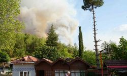 Elinde hortumla otları ıslatarak evini yangından korumaya çalıştı