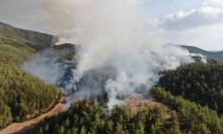 Kastamonu-Karabük sınırında ikinci orman yangını