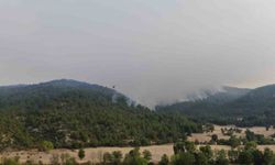 Kastamonu’daki orman yangınına müdahale sürüyor