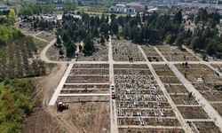 Mezarlıklarda düzenleme çalışmaları başladı