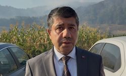 Orman yangını 6. saatinde: Havadan ve karadan müdahale sürüyor