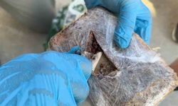 Şehirlerarası otobüste pul biber içine zulalanmış eroin ele geçirildi