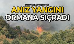 Anız yangını rüzgarın etkisi ile ormana sıçradı