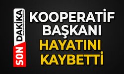 Kooperatif başkanı hayatını kaybetti