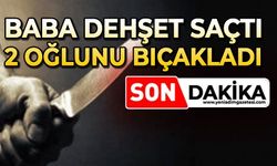 Baba iki oğlunu bıçakla yaraladıktan sonra canına kıymak istedi