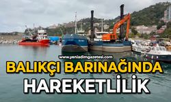 Balıkçı barınağında hareketlilik