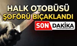 Halk otobüsü şoförü bıçaklandı