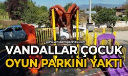 Vandallar çocuk oyun parkını yaktı
