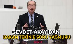 Cevdet Akay’dan Bakan Tekin’e soru yağmuru