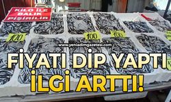 Fiyatı dip yaptı ilgi arttı