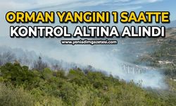 Orman yangını 1 saatte kontrol altına alındı