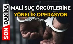 Mali suç örgütlerine yönelik operasyon: Çok sayıda gözaltı var