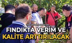 Fındıkta verim ve kalite arttırılacak