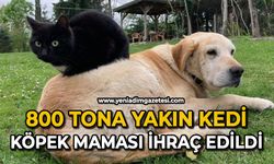 800 tona yakın kedi köpek maması ihraç edildi