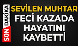 Sevilen muhtar feci kazada hayatını kaybetti