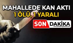 Mahallede kan aktı: 1 ölü, 1 yaralı