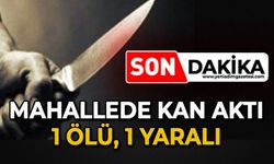 Mahallede kan aktı: 1 ölü, 1 yaralı
