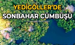 Yedigöller’de sonbahar cümbüşü