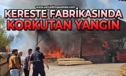 Kereste fabrikasında yangın