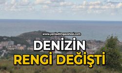 Denizin rengi değişti