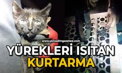 Yürekleri ısıtan kurtarma