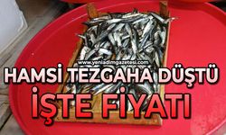 Hamsi tezgaha düştü: İşte fiyatı