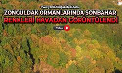 Zonguldak ormanlarında sonbahar renkleri havadan görüntülendi