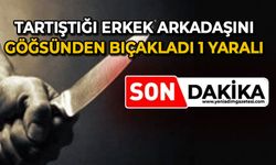 Tartıştığı erkek arkadaşını göğsünden bıçakladı: 1 yaralı