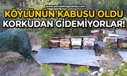 Köylünün kabusu oldu: Korkudan gidemiyorlar