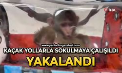 Kaçak yollarla Türkiye'ye sokulmaya çalışılırken yakalandı
