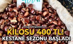 Kilosu 400 TL! Kestane sezonu başladı