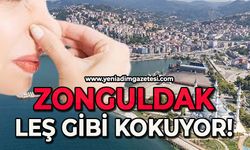 Zonguldak 'leş' gibi kokuyor!