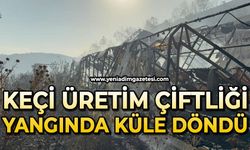 Keçi üretim çiftliği küle döndü