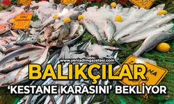 Balıkçılar palamut için "kestane karası"nı bekliyor