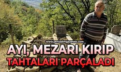 Mezarı kazıp tahtaları kıran ayı cenazeye ulaşamadan kaçtı
