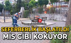 Seferberlik başlatıldı: Mis gibi kokuyor