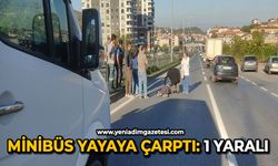 Minibüs yayaya çarptı: 1 yaralı