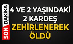 4 ve 2 yaşındaki iki kardeş zehirlenerek öldü