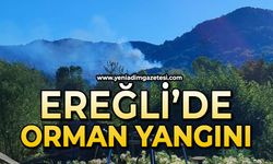 Ereğli'de orman yangını