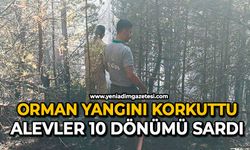 10 dönümlük alan zarar gördü