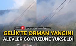 Gelik'te orman yangını: Alevler gökyüzüne yükseldi