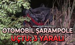Otomobil şarampole uçtu: 3 yaralı