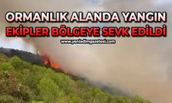 Ormanlık alanda yangın: Ekipler bölgeye sevk edildi