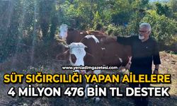 Süt sığırcılığı yapan ailelere 4 milyon 476 bin TL destek